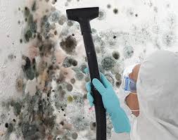 Mold Documentation for Insurance Claims in Alamo, TX